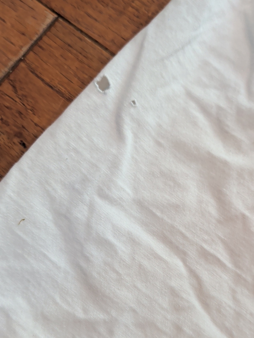 Alore Single Stitch Nautical Graphic Tee in White with Red & Blue Accents - Picture 10 of 12